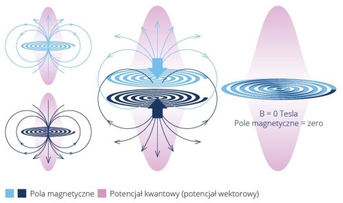 Healy Coil potencjal kwantowy Tesli- pola morficzne.jpg