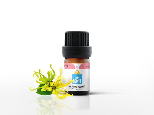 1613141930-YLANG-YLANG.png