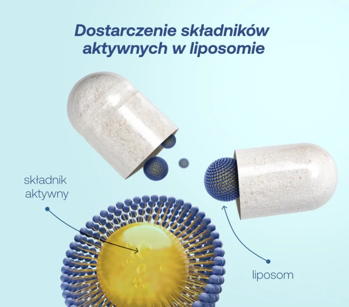 LPliposomyPP_f3da8cf4-f012-40cd-84c0-02097d508b0d.webp