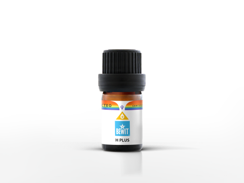 H Plus.png