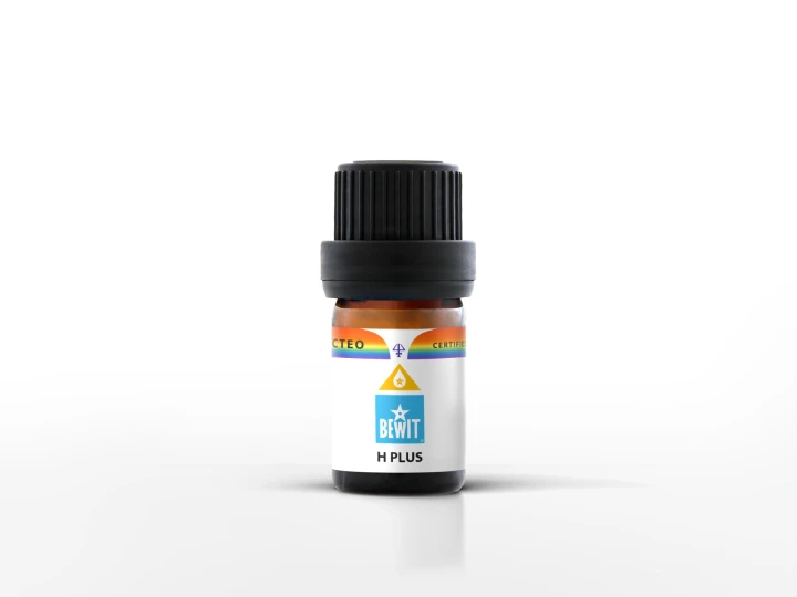 H Plus.png
