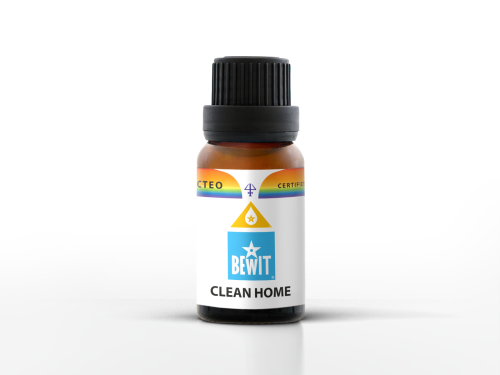 1613483100-CLEAN-HOME.png