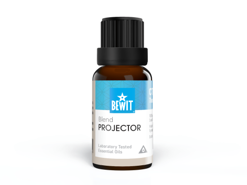 projektor.png