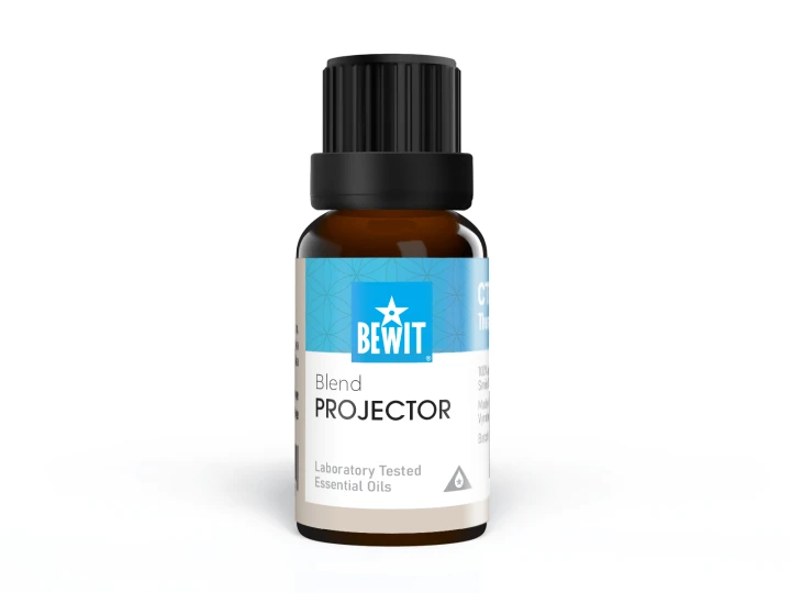 projektor.png