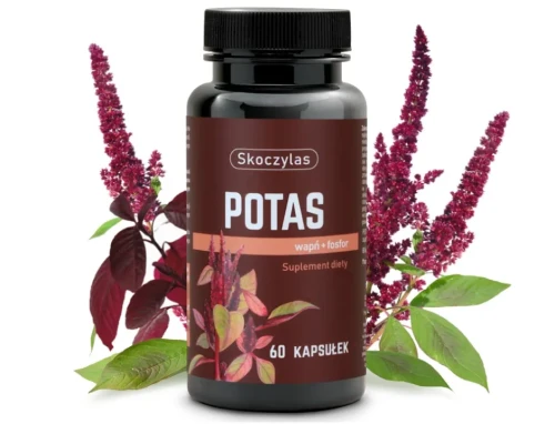 potas owoc-min.webp