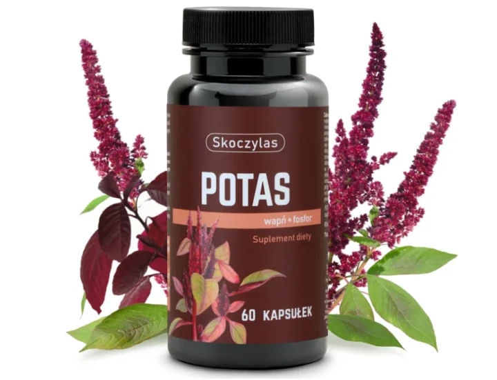 potas owoc-min.webp