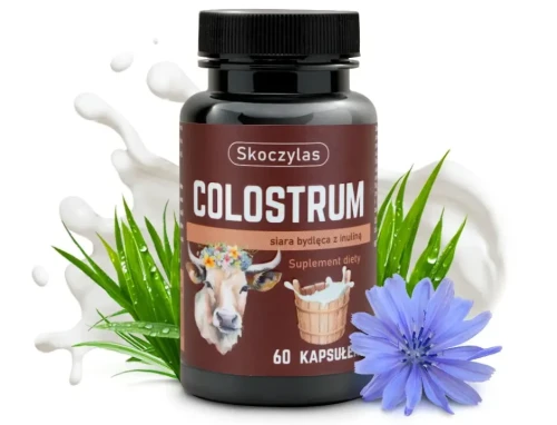 colostrum siara bydleca inulina odpornosc skoczylas.webp